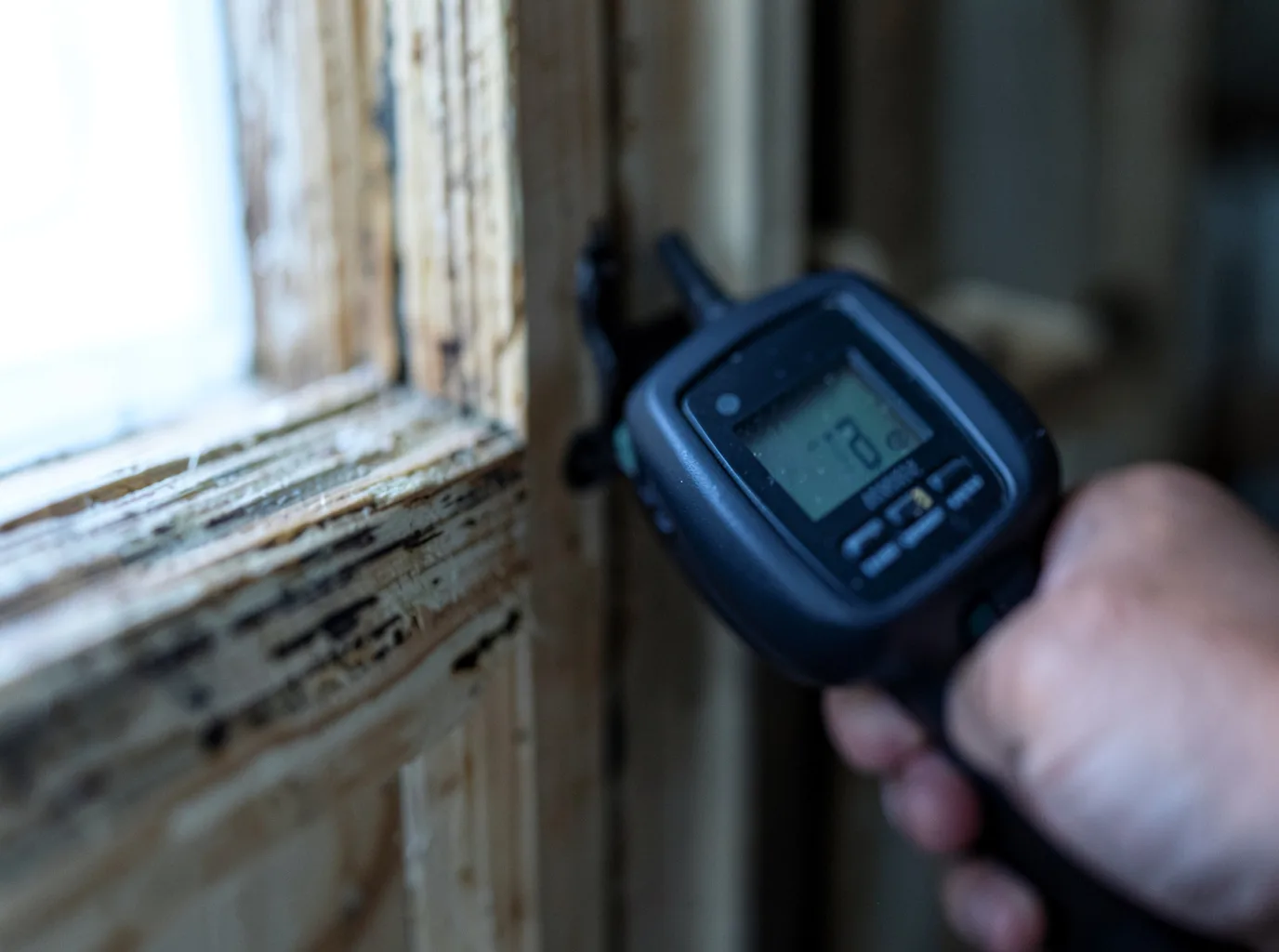 Commercial Water Damage Restoration in Elk, CA